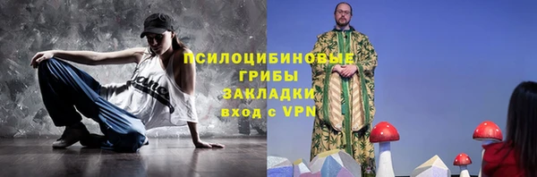 твердый Верхний Тагил