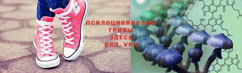 Галлюциногенные грибы Cubensis Межгорье