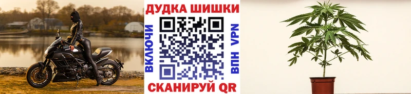 как найти закладки  Межгорье  Бошки марихуана AK-47 